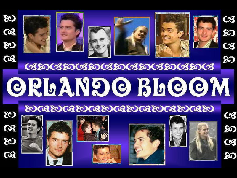 800orlandowallblue.jpg