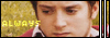 banner02.gif