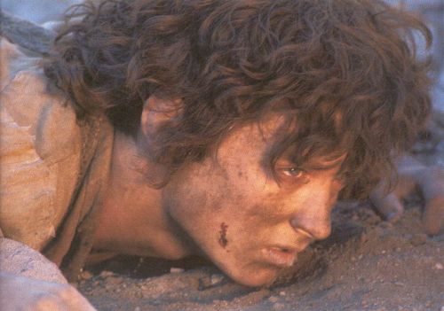 poorfrodo02.jpg